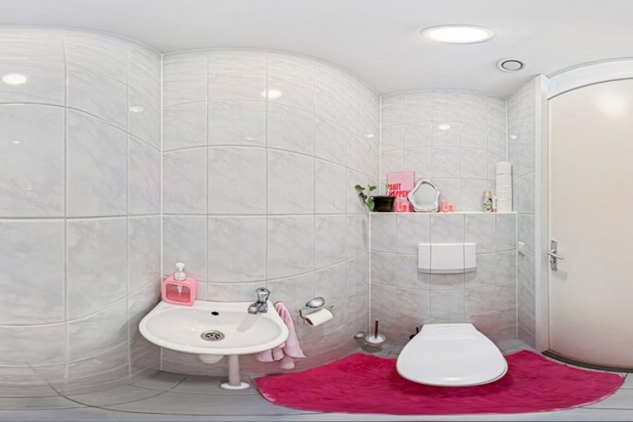 toilet-20beneden.jpg